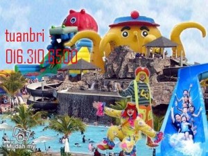 tiara2-tuanbri